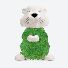 Load image into Gallery viewer, Hairy Beaver Planter
