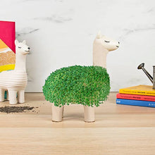 Load image into Gallery viewer, Llama Planter
