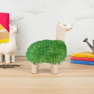 Llama Planter