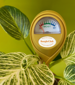 Moisture Meter | Green