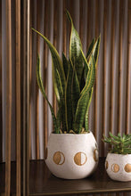 Load image into Gallery viewer, Pot: Wonder 7.75in x 6.25in
