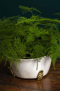 Pot Stand: Jarrah Pot Feet