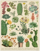 Load image into Gallery viewer, 1,000 Piece Puzzle: Cacti &amp; Succulents
