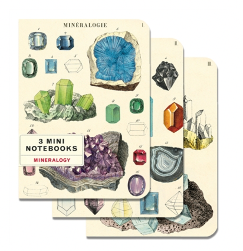 Mineralogy Mini Notebooks 3 pack