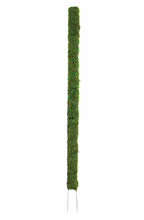Load image into Gallery viewer, Moss Pole 36in
