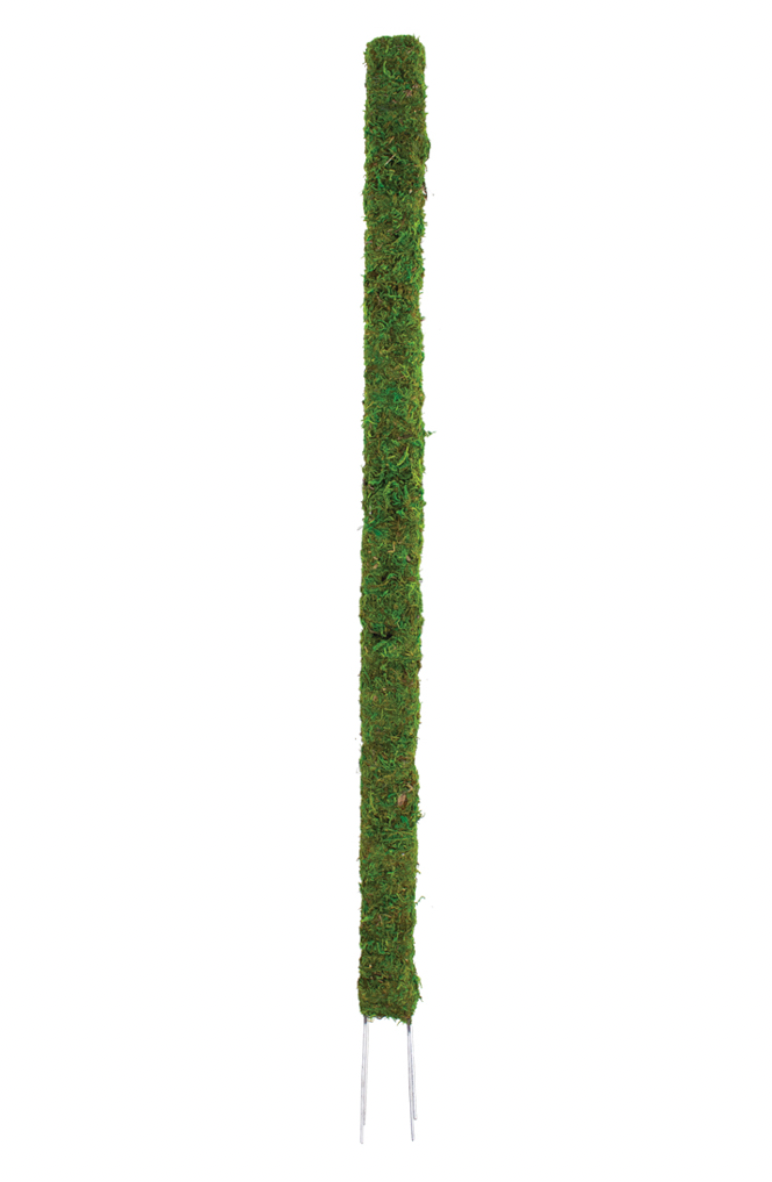 Moss Pole 36in – Send Nodes Plant Shop