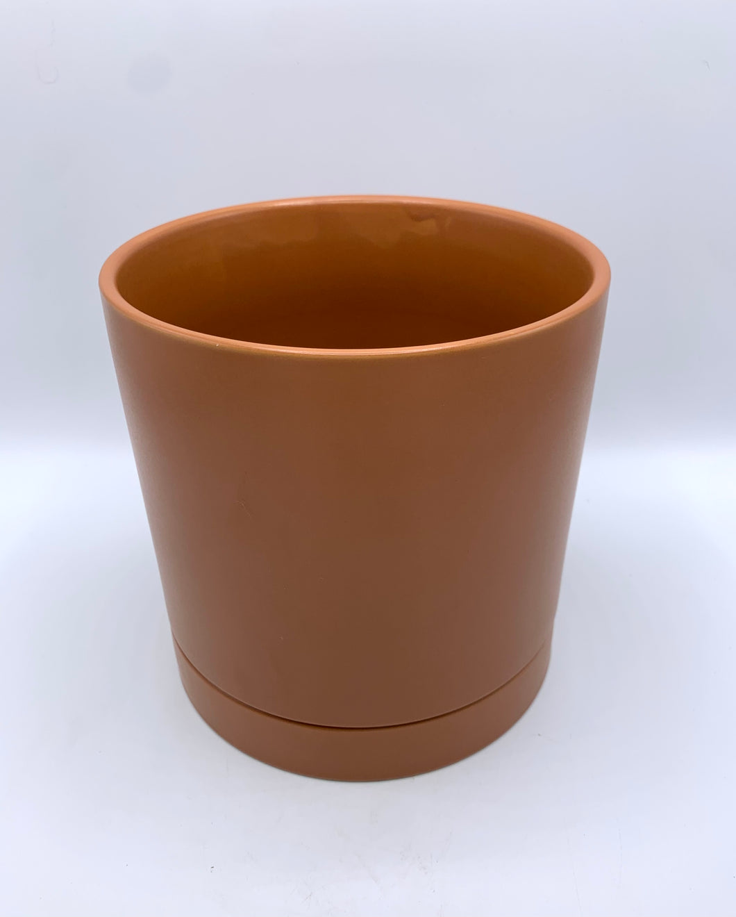 Pot: Glazed Terracotta 6.5in
