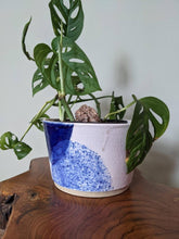 Load image into Gallery viewer, Pot: Locally Made | Blue Speckle Pot #6: 7.25in x4.75in
