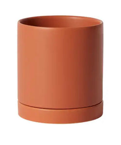 Pot: Romey Glazed Terracotta 5in